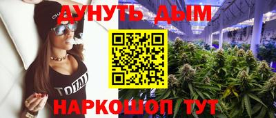 шишки Новокубанск