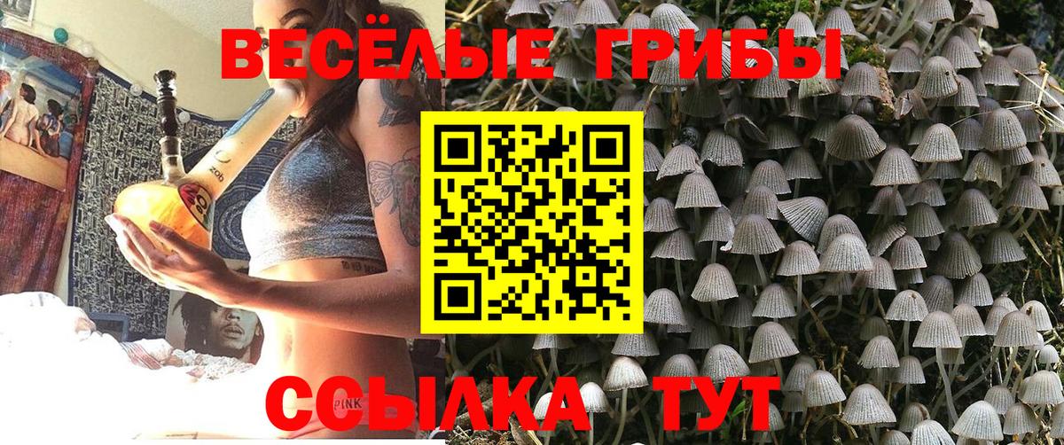 Лобня  наркотики  Вход с VPN  Псилоцибиновые грибы MAGIC MUSHROOMS 